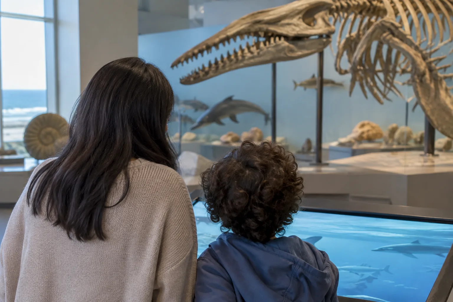A coastal museum gallery displaying dinosaur fossils, marine specimens, interactive science exhibits, and natural history.